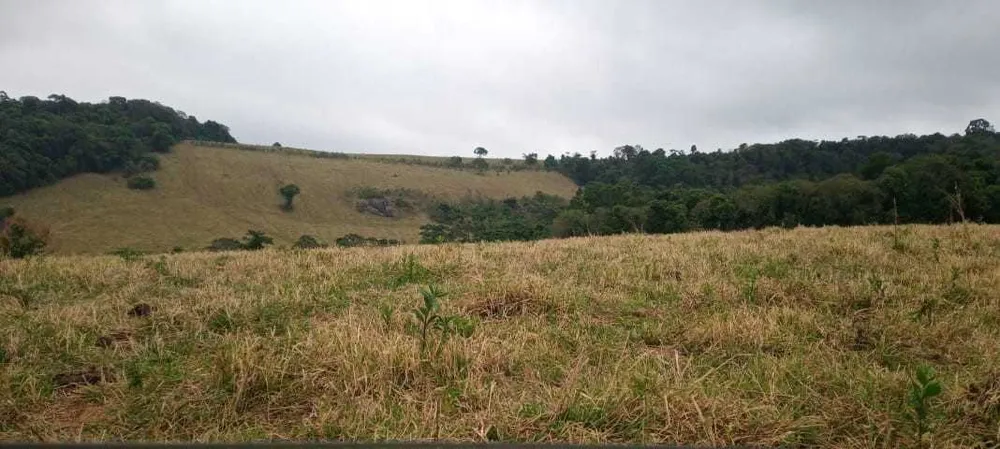 Fazenda, 339 hectares - Foto 1