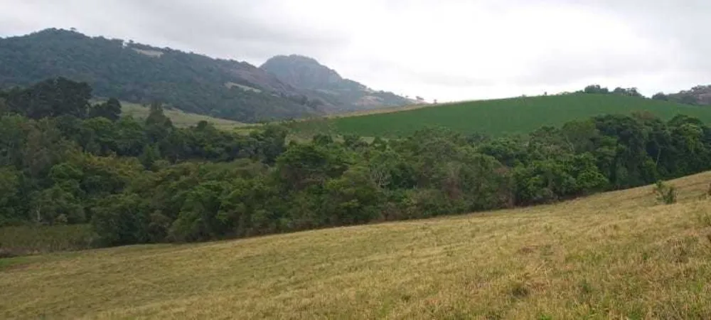 Fazenda, 339 hectares - Foto 20