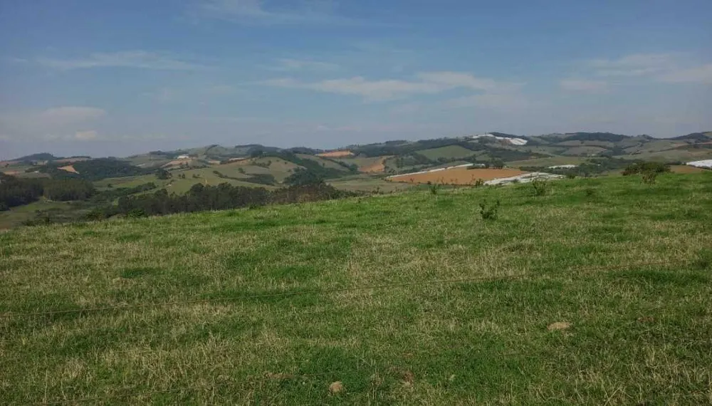 Fazenda, 339 hectares - Foto 4