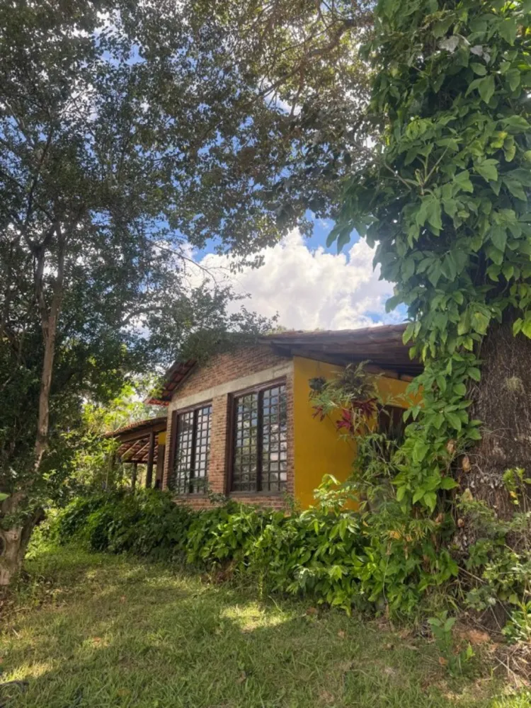 Sítio, 5 quartos, 2 hectares - Foto 2