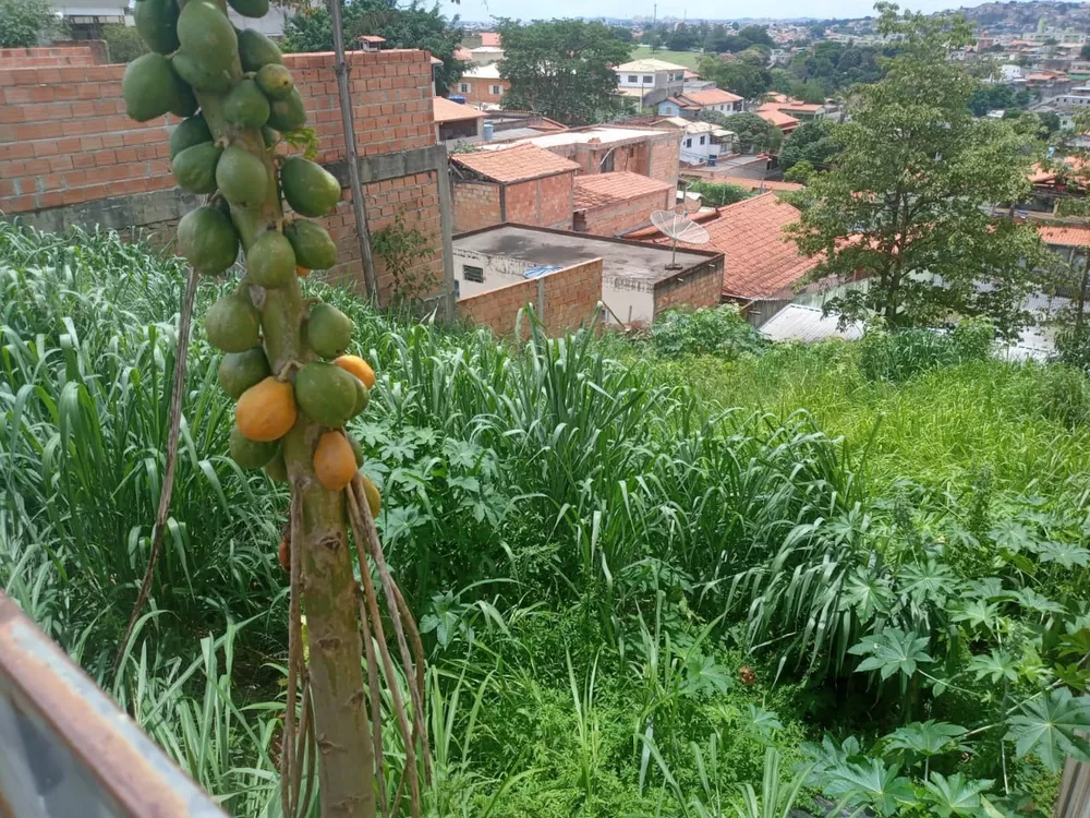 Terreno à venda, 360m² - Foto 5