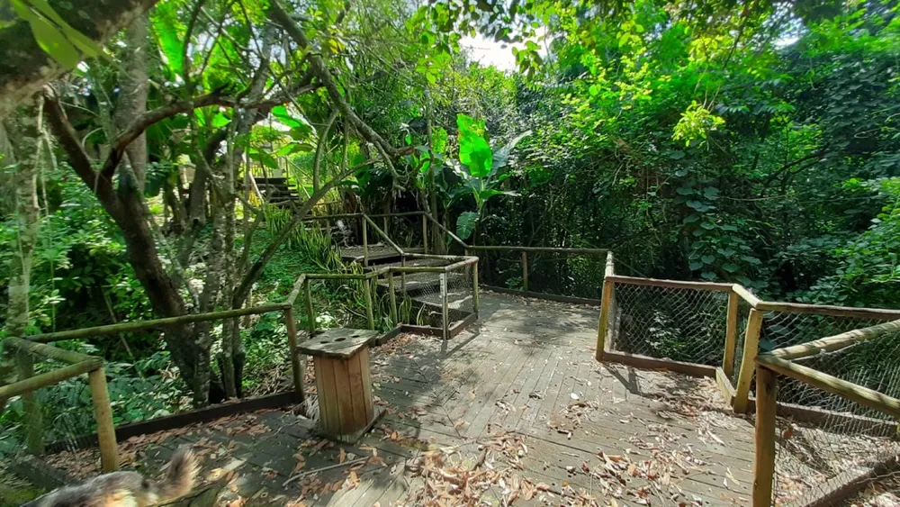 Chácara, 1 quarto, 3000 m² - Foto 10