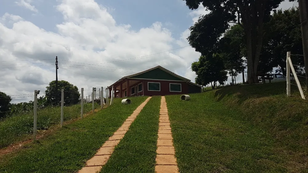 Fazenda, 48 hectares - Foto 11