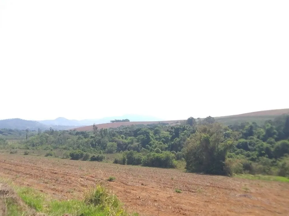 Fazenda, 48 hectares - Foto 2