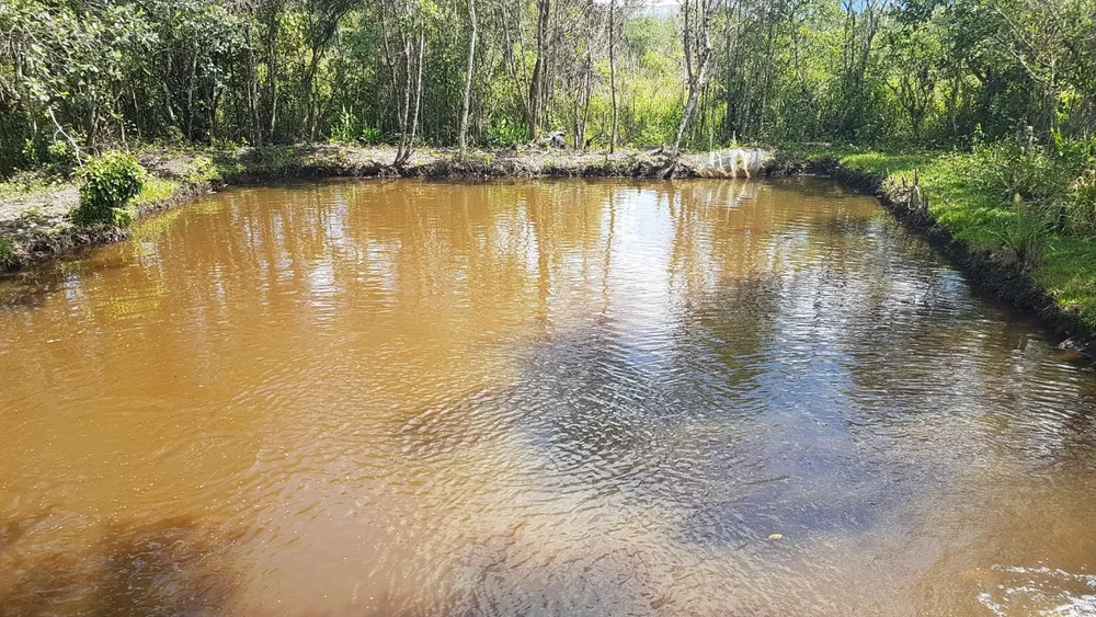 Fazenda, 48 hectares - Foto 8