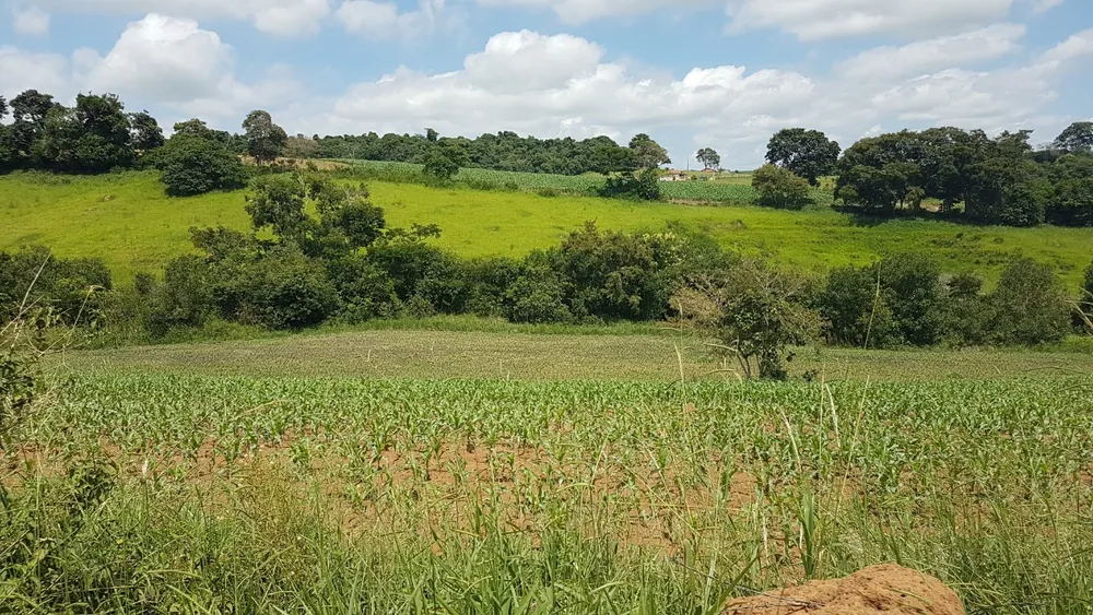 Fazenda, 48 hectares - Foto 1
