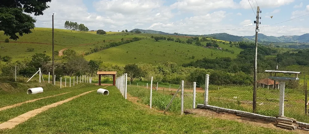 Fazenda, 48 hectares - Foto 5