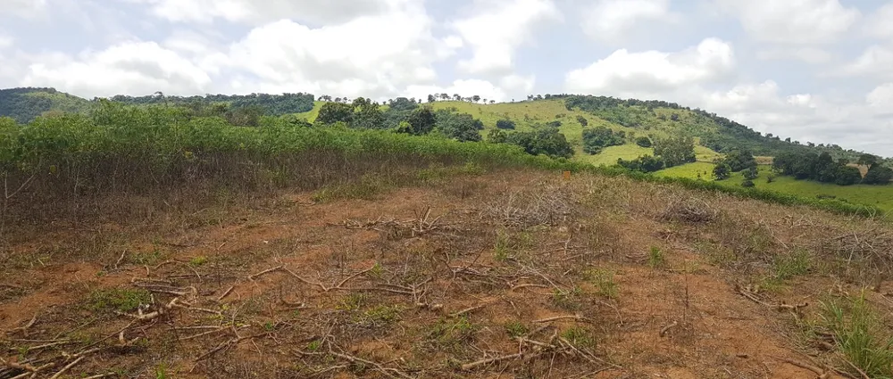 Fazenda, 48 hectares - Foto 4