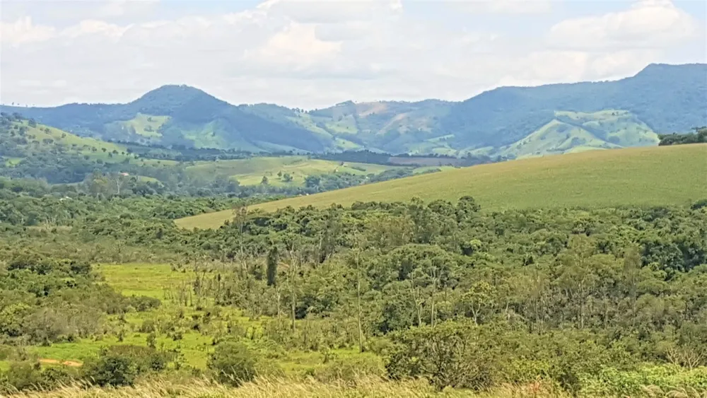 Fazenda, 48 hectares - Foto 3
