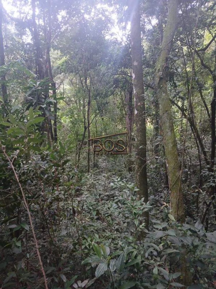 Terreno, 5070 m² - Foto 7