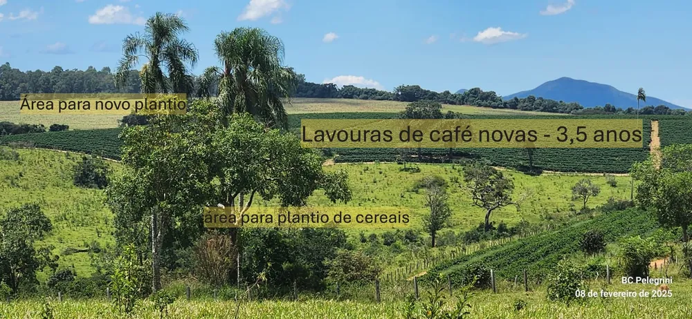 Fazenda, 268 hectares - Foto 2