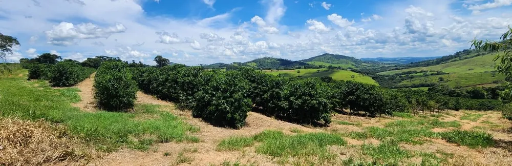 Fazenda, 268 hectares - Foto 5