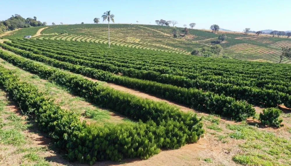 Fazenda, 268 hectares - Foto 7
