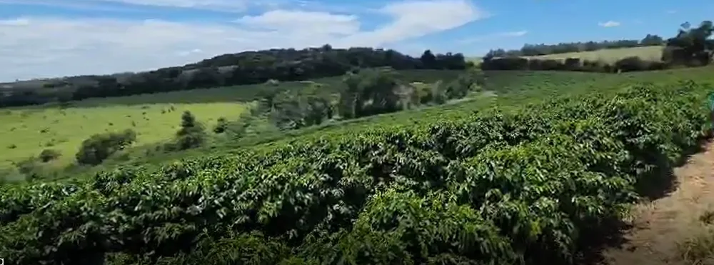 Fazenda, 268 hectares - Foto 16