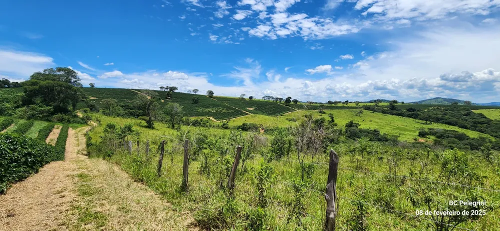 Fazenda, 268 hectares - Foto 8