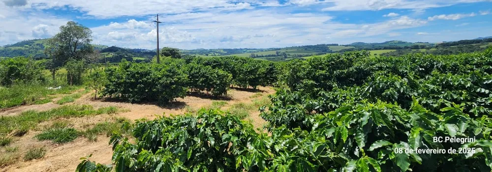 Fazenda, 268 hectares - Foto 5