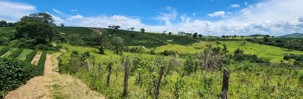 Fazenda, 268 hectares - Foto 1