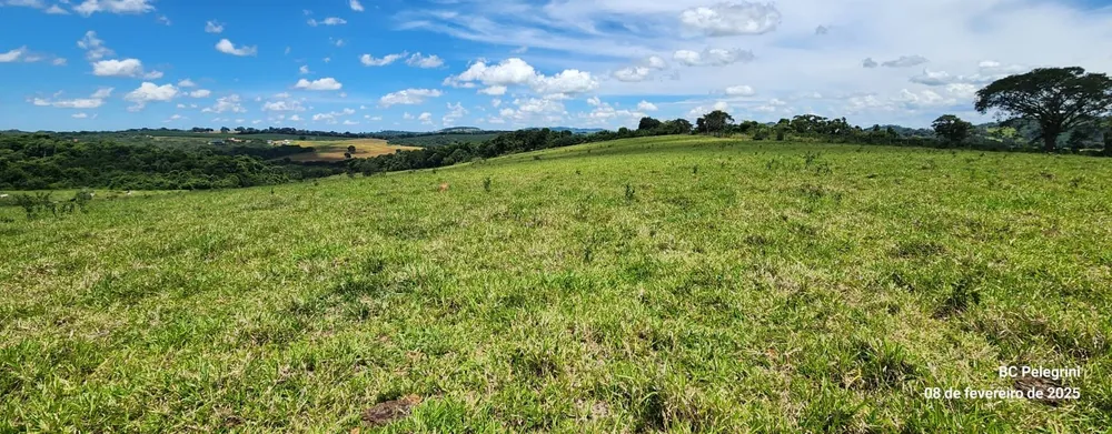 Fazenda, 268 hectares - Foto 20