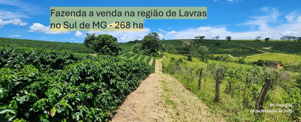Fazenda, 268 hectares - Foto 2