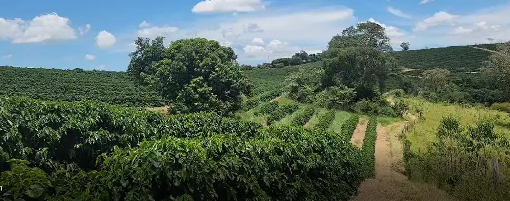 Fazenda, 268 hectares - Foto 7