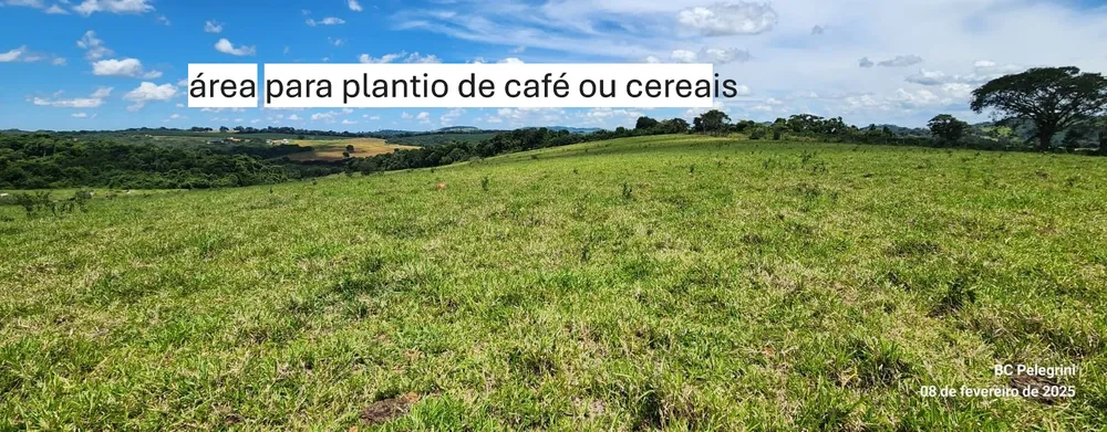 Fazenda, 268 hectares - Foto 19