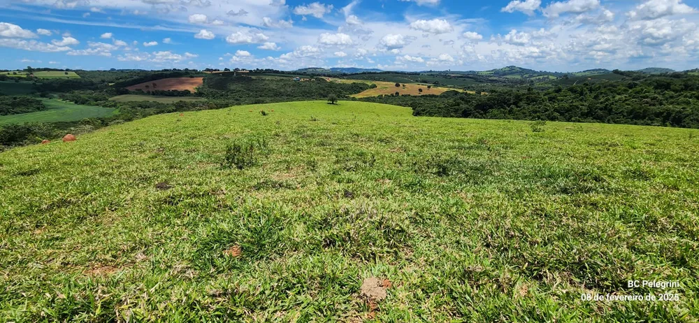 Fazenda, 268 hectares - Foto 24