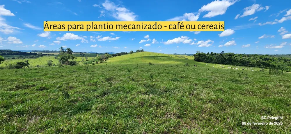 Fazenda, 268 hectares - Foto 3