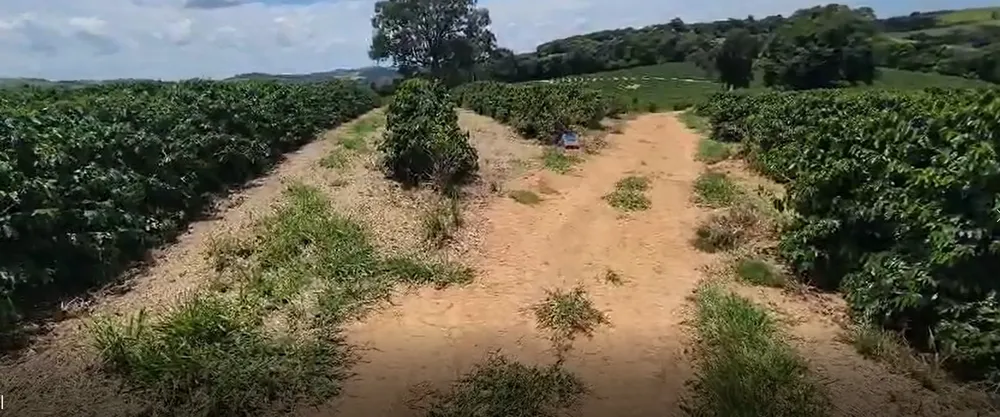 Fazenda, 268 hectares - Foto 10