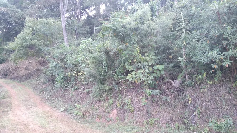 Terreno, 900 m² - Foto 4