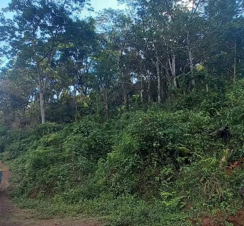 Terreno, 900 m² - Foto 5