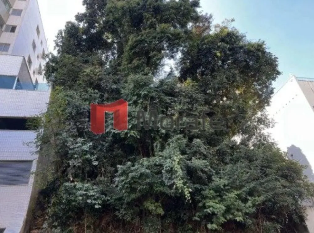 Terreno, 450 m² - Foto 4