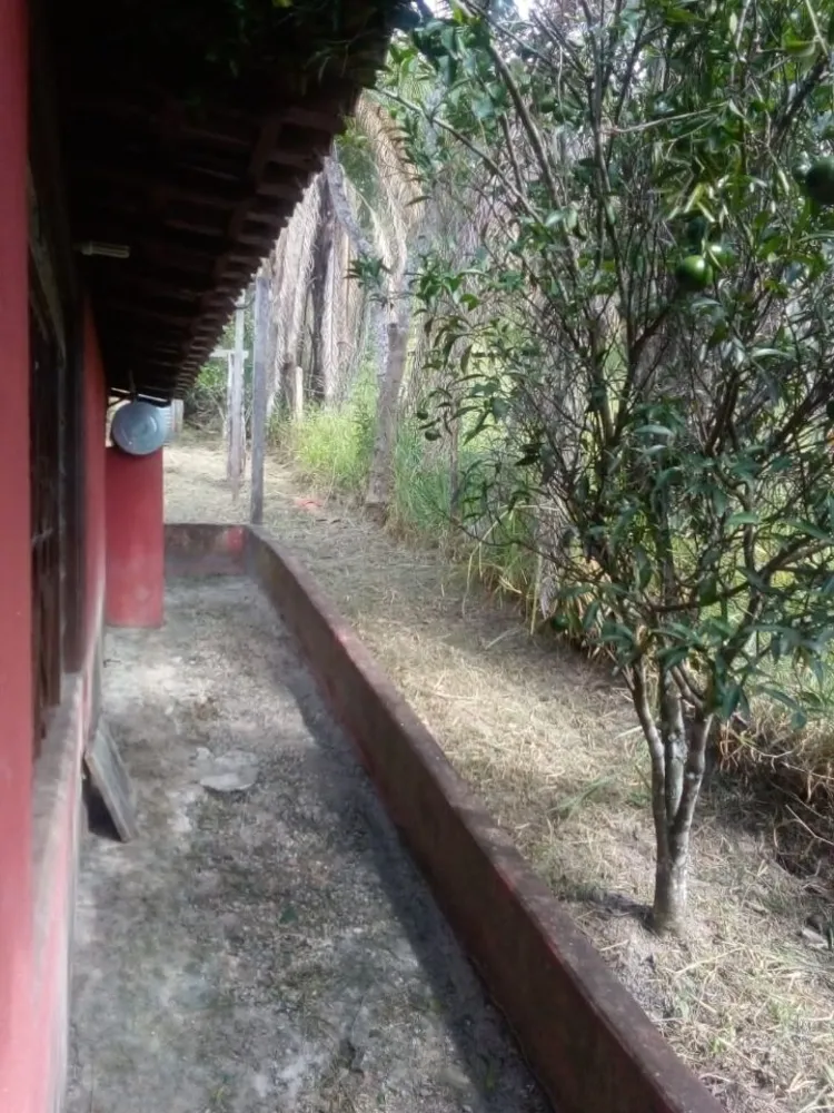 Chácara, 3 quartos, 9000 m² - Foto 9