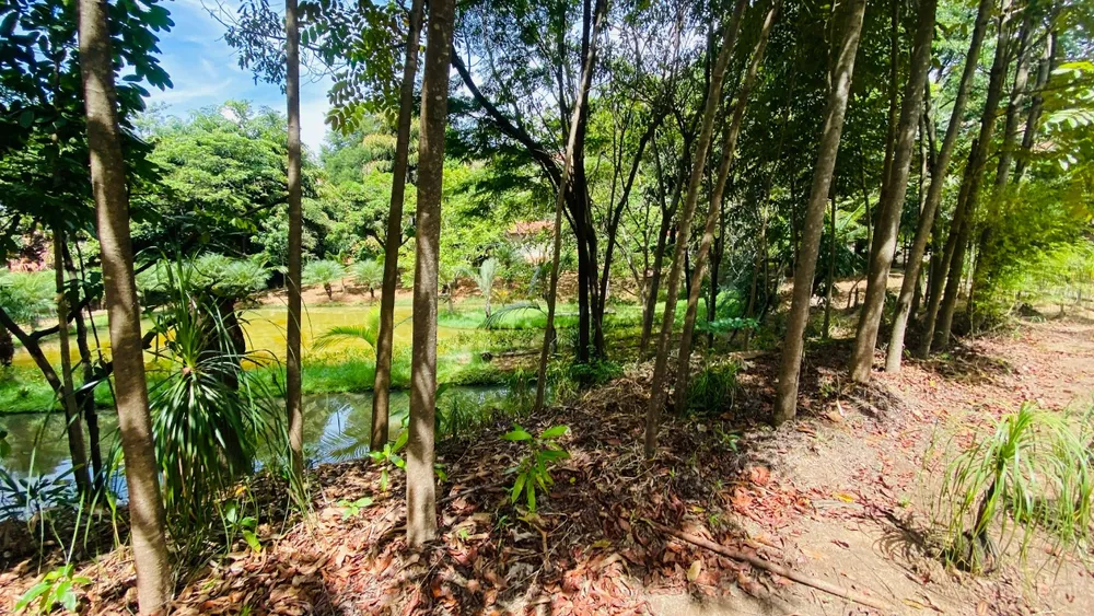 Chácara, 2 quartos - Foto 12