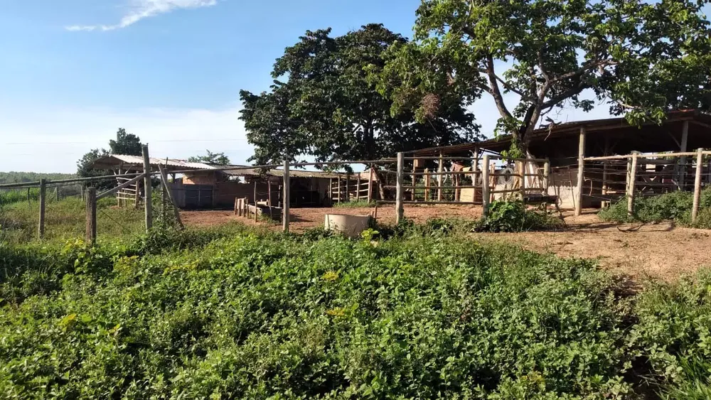 Fazenda, 5 quartos - Foto 11