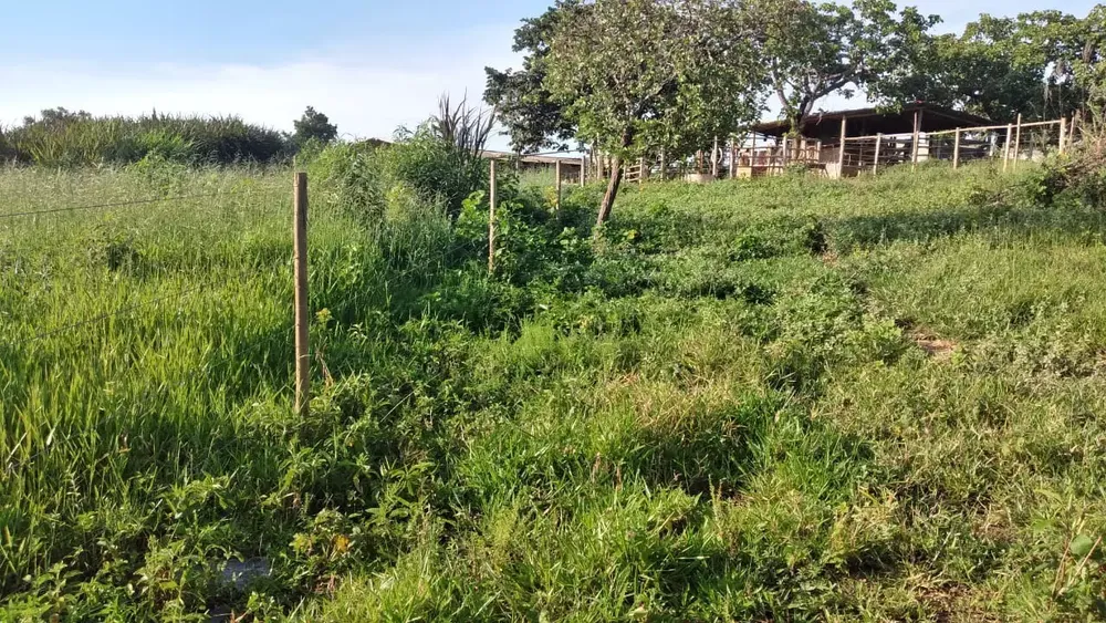 Fazenda, 5 quartos - Foto 8
