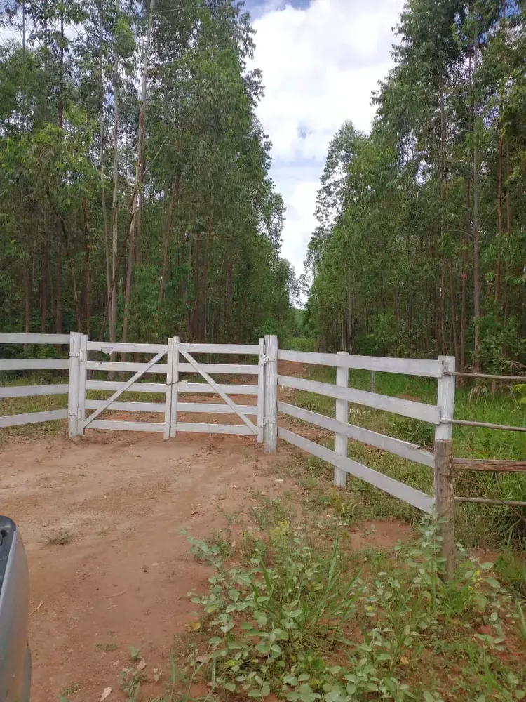Fazenda, 5 quartos - Foto 2