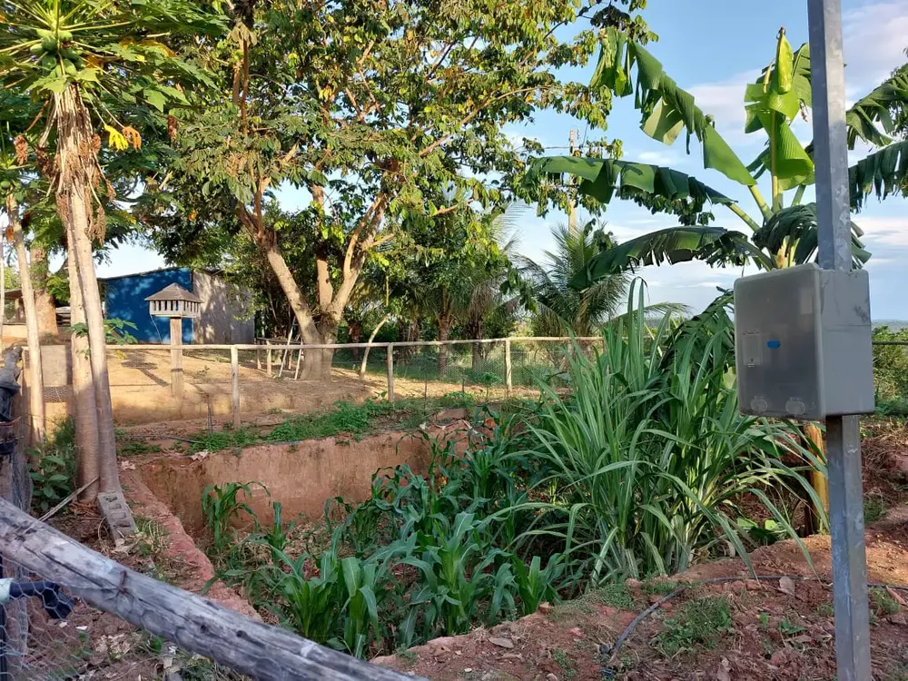 Fazenda, 5 quartos - Foto 14