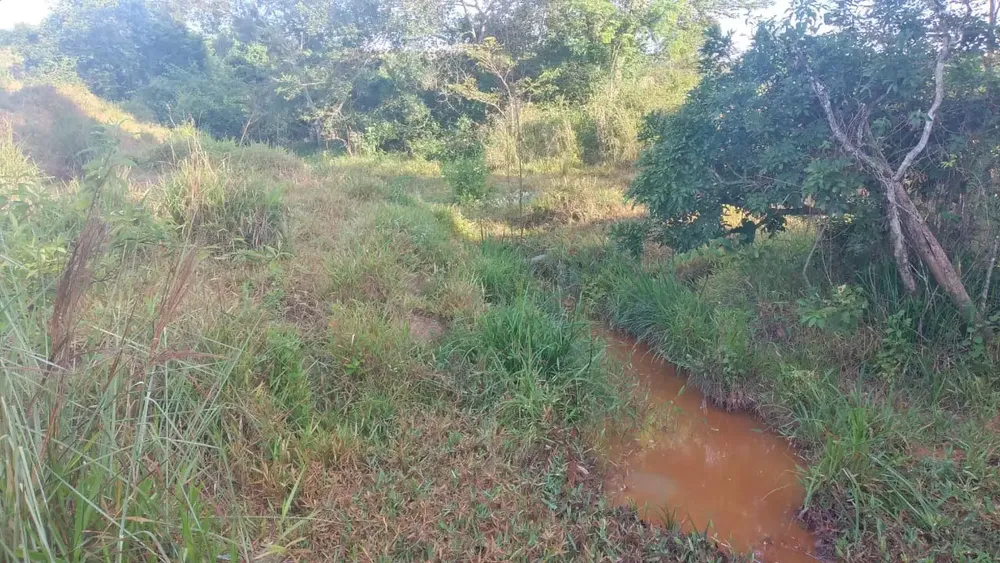 Fazenda, 5 quartos - Foto 7