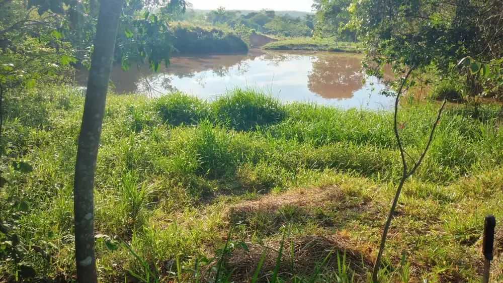 Fazenda, 5 quartos - Foto 3