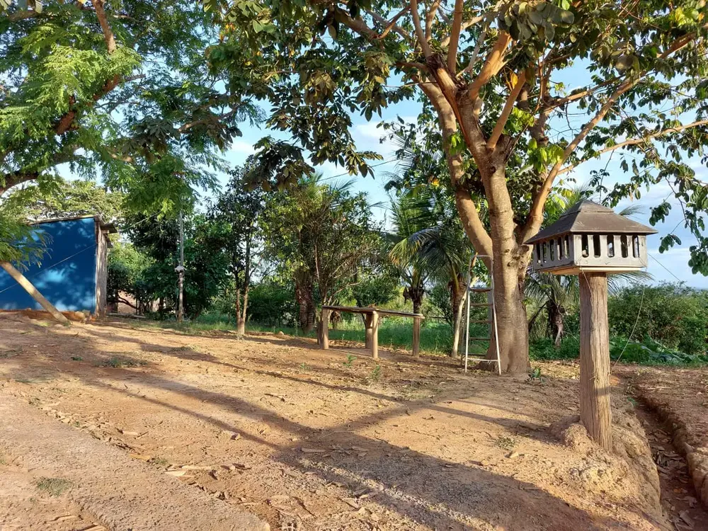 Fazenda, 5 quartos - Foto 12
