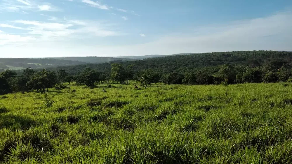 Fazenda, 5 quartos - Foto 1