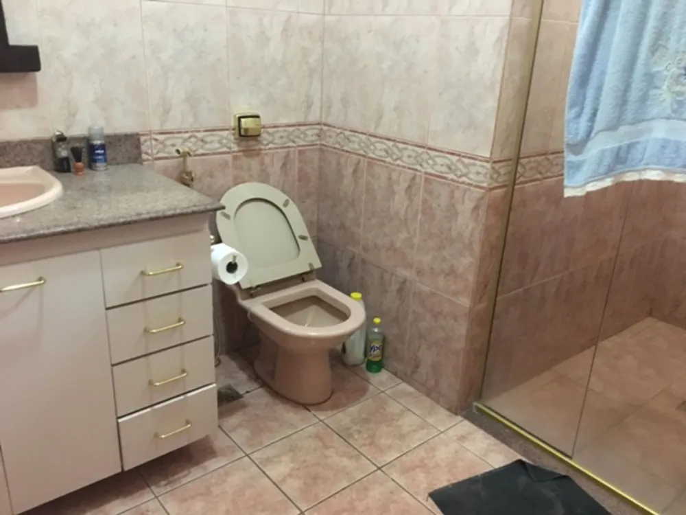 Casa, 4 quartos, 295 m² - Foto 14