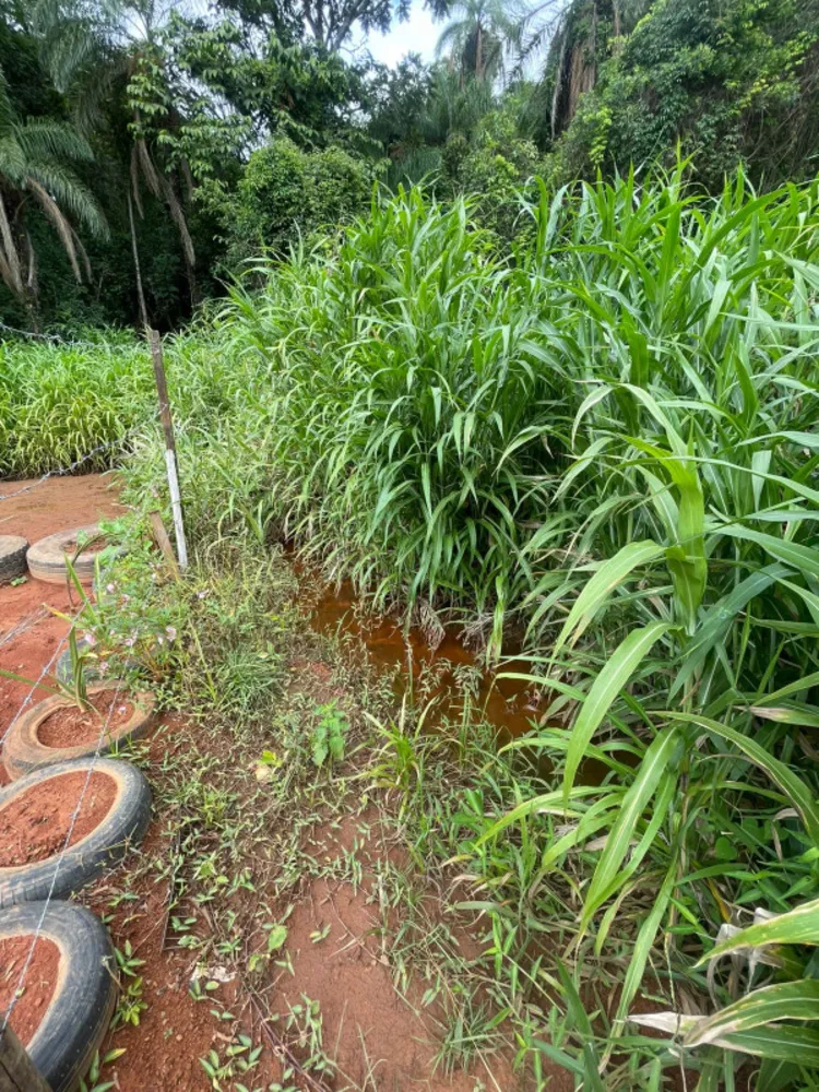 Fazenda, 1200 m² - Foto 6