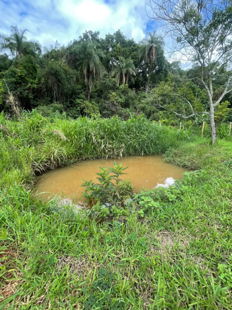 Fazenda, 1200 m² - Foto 5