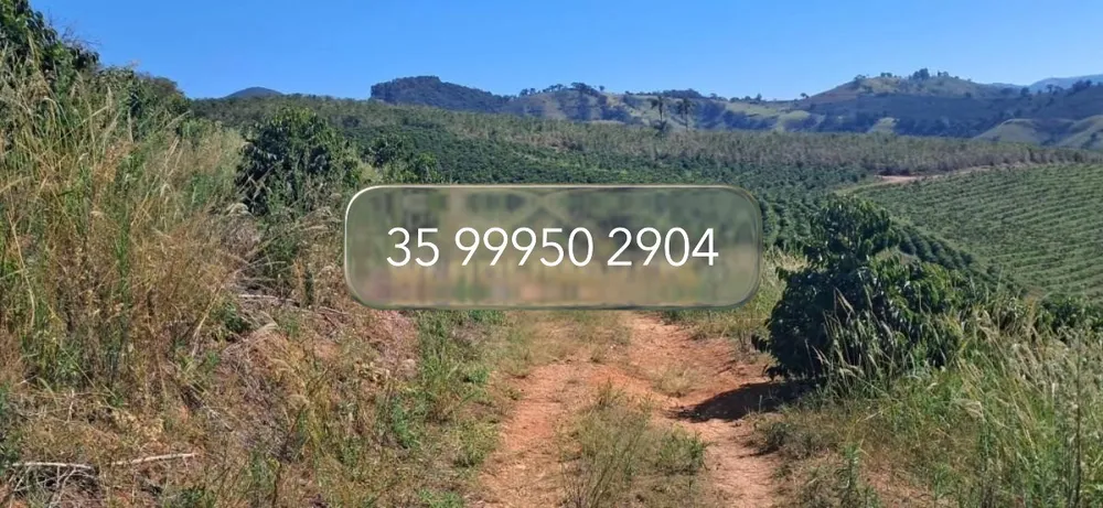 Fazenda, 32 hectares - Foto 4