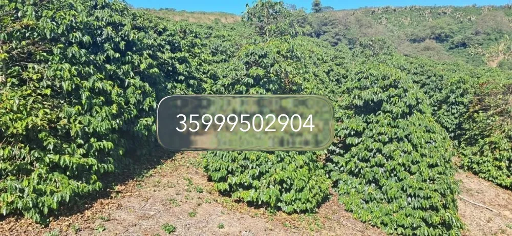 Fazenda, 32 hectares - Foto 1