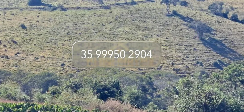 Fazenda, 32 hectares - Foto 3