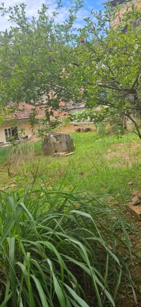 Casa, 3 quartos, 370 m² - Foto 8