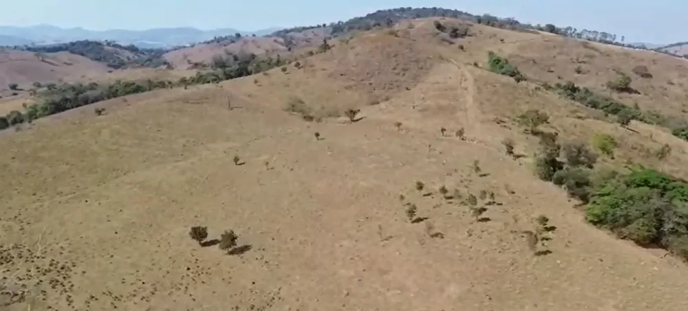 Fazenda, 157 hectares - Foto 10