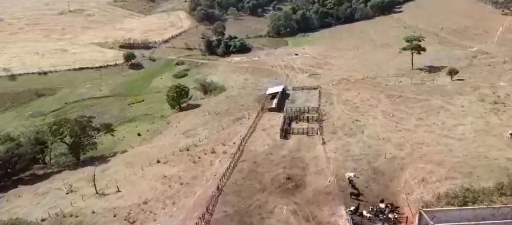 Fazenda, 157 hectares - Foto 6